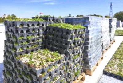 Completa - vorgefertigte Pflanzschalen für grüne Dachbepflanzungen